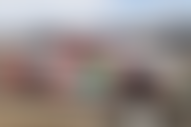 Irá Luis Goulart a pelear el Top5 a Tulum para seguir de líder por el Novato del Año