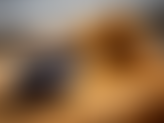 Miguel Granados lidera la categoría Masters en el WRC Rally de Arabia Saudita