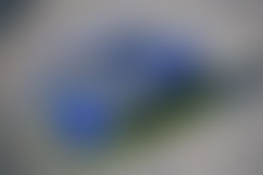 NASCAR MÉXICO Series confirma su primera fecha en San Luis Potosí