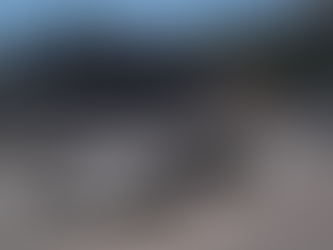 Adrián Fernández regresa al Gran Premio Histórico de Mónaco con el auto renovado de Pedro Rodríguez