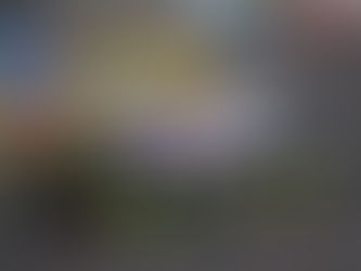 Contacto complicó a Mateo Girón, en lucha por el título de Trucks México Series