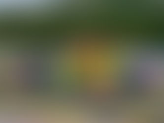 Sólido Top-10 para Jake Cosío en Monterrey