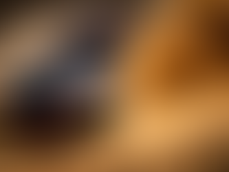 El equipo mexicano Vp Garage hace historia y se corona Campeón del Mundo en el WRC