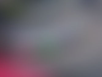 NASCAR México Series, hará historia este fin de semana en el “NASCAR Mexico City Weekend”