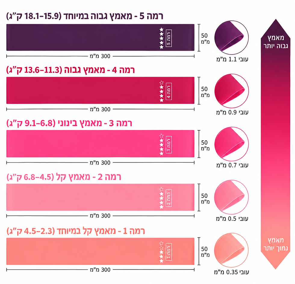 Миниатюра: סט 5 גומיות התנגדות לאימון Activora