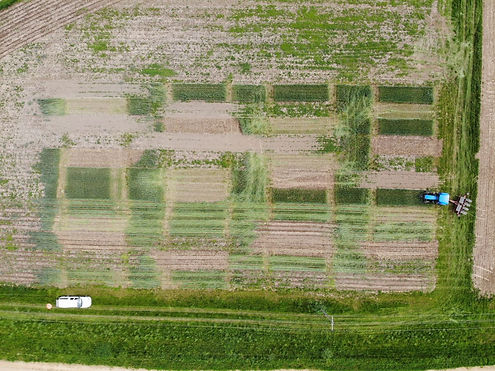 Lancaster-Aerial-photo-of-planting-corn-into-cover-crops-1200x899.jpg