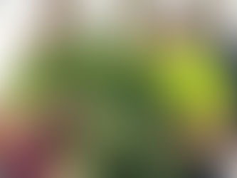 All Seasons Growing in the Midwest Series with LarryVille Gardens - Free Webinar Monday