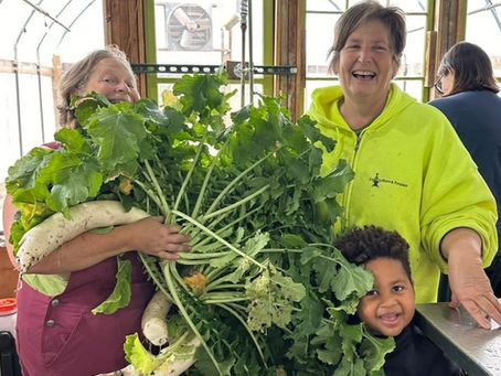 All Seasons Growing in the Midwest Series with LarryVille Gardens - Free Webinar Monday