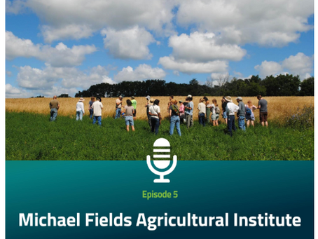 Beginning Grain Farmers Take Root in Midwest