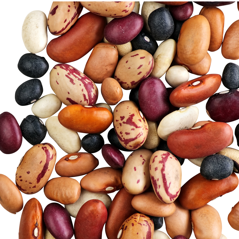 Dry Beans! Community Call with the Staple Crop Growers