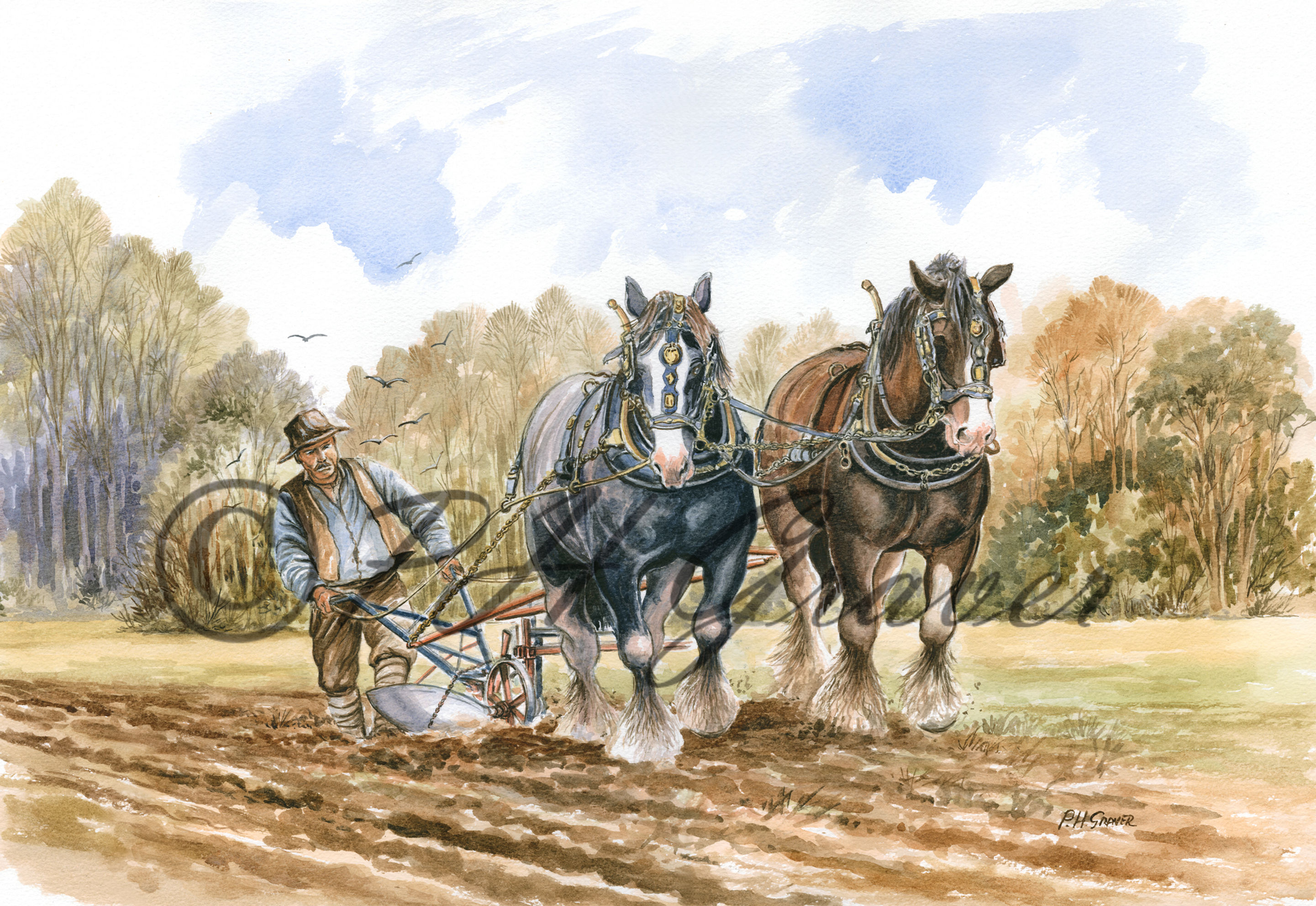 HAF#16 The Ploughing Team