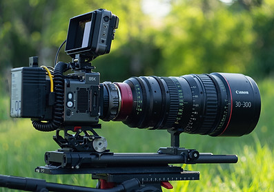 freefly rig.jpg