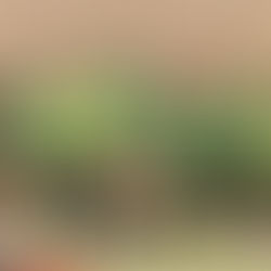 Unsere erste Frauen-Volleyballmannschaft ist gestartet!