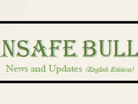 LatinSafe Bulletin May 2026 (Edición en Español)