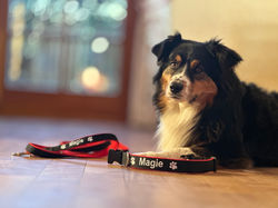 Magie