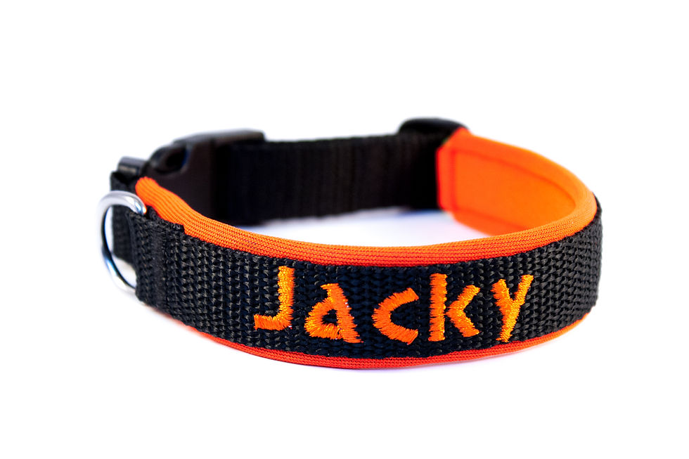 Miniaturbild: Besticktes Hundehalsband, Schwarz-Neonorange