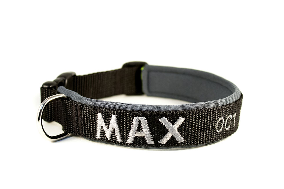 Miniaturbild: Besticktes Hundehalsband, Schwarz-Anthrazit