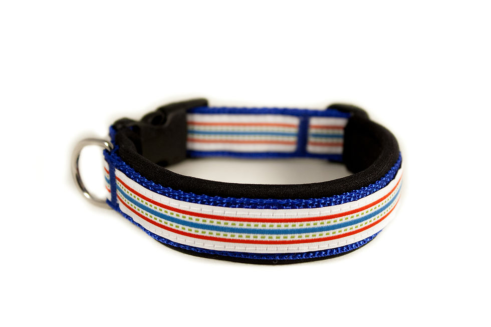 Miniaturbild: Abverkauf: Hundehalsband mit Neoprenpolster