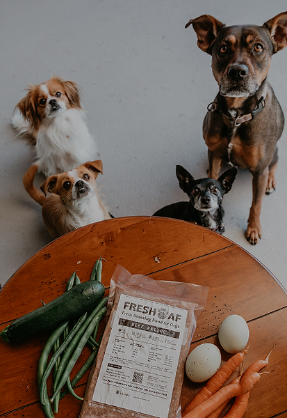 jpin the pack lobosito food for dogs