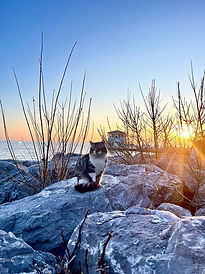 WhatsApp Image 2026-04-16 at 1.18.13 PM (7).jpeg