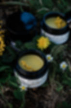 Miniature : BAUME BOTANIQUE - HEBE BELLIS -