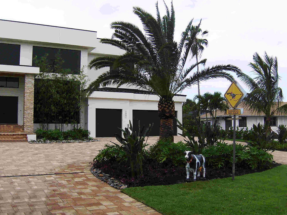 Old Naples New Construction