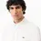 Miniatura: LACOSTE Camicia da uomo in cotone di alta qualità regular fit
