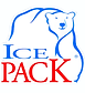 Cópia de Logo ice (2).png