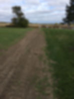 2025 Oct 18 - One Area Needing Grass