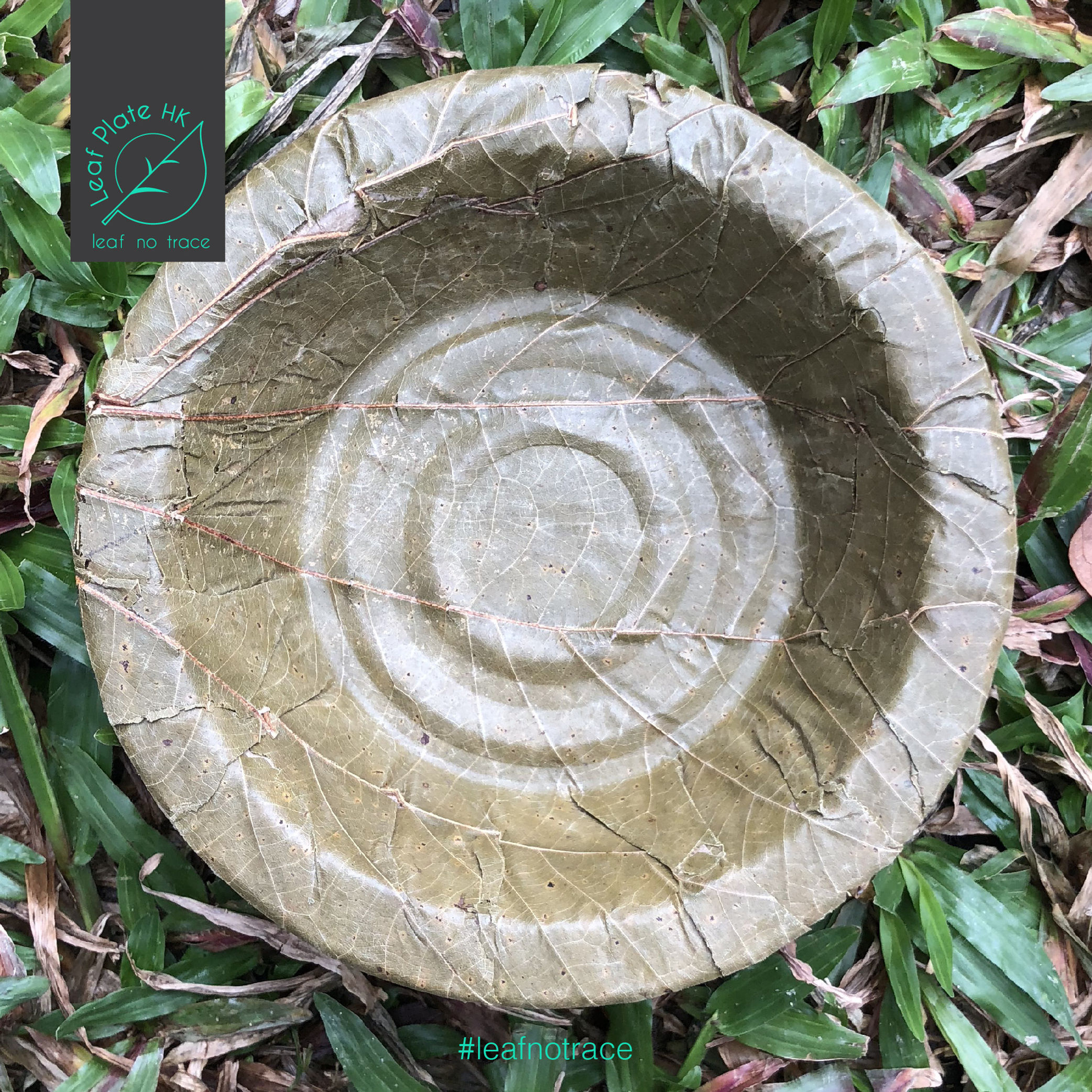 5" Leaf bowls 160ml (Set of 10pcs)