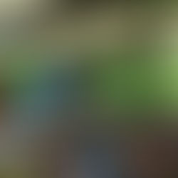 75 jaar olt: artikel de limburger