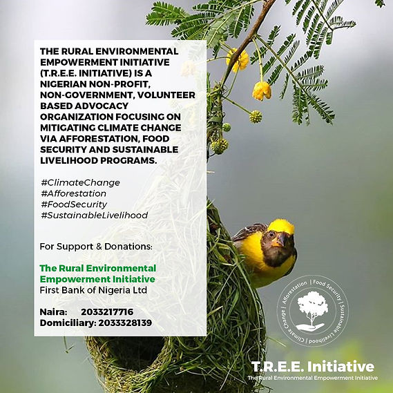 TREE Program.jpeg