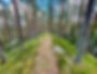 IMG_0522.jpeg