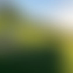 Golf Courses - Prints, Paintings & Posters