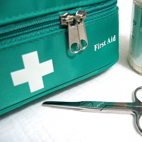 Steps to Handle Pet Emergencies: Your Guide to Pet Emergency Response