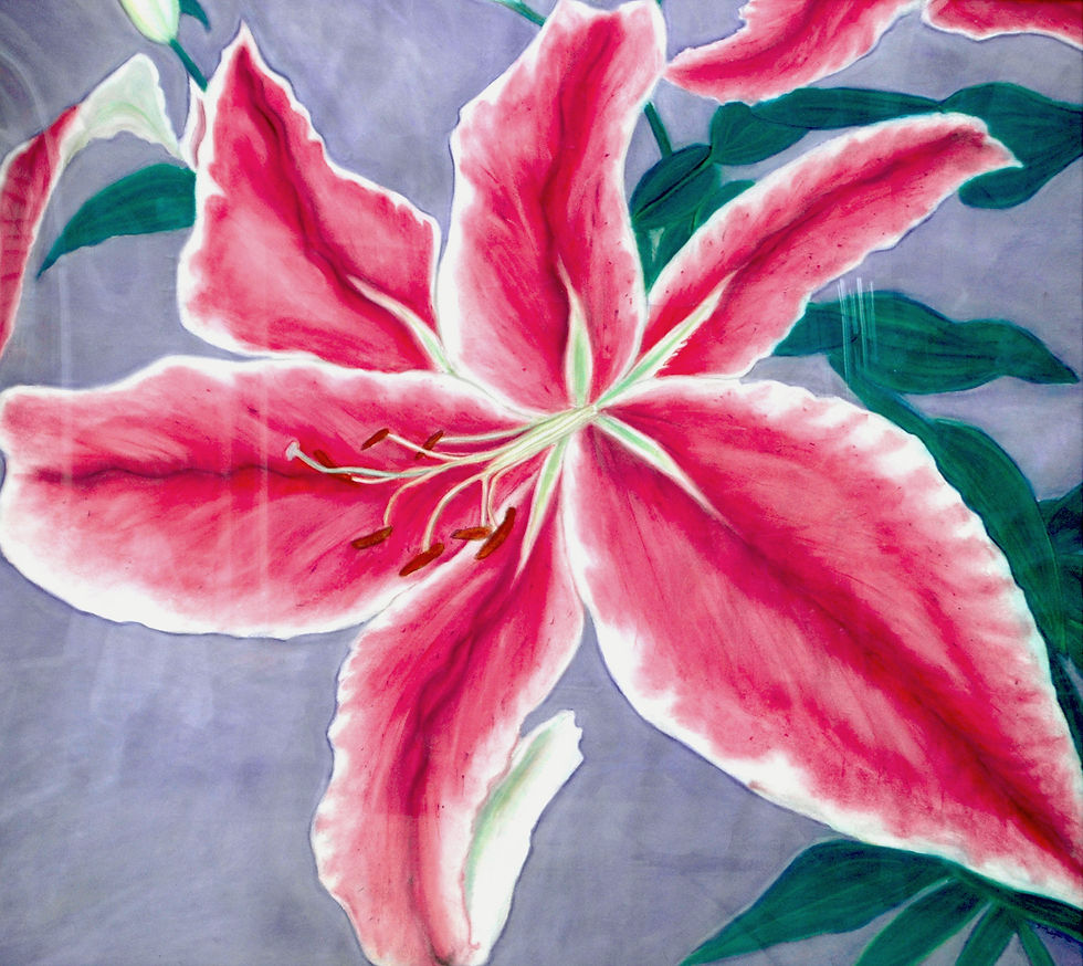 Lily from My Garden