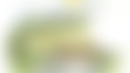 SHOCKING NORTH FITZROY CENSUS RESULTS