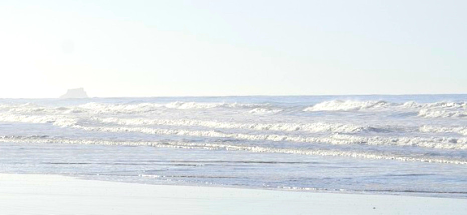 Waves of ocean, Guildford counsellor