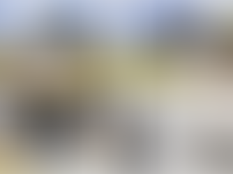 25 MCMANN DriveThorold, Ontario