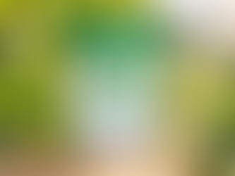 Green Coffee Bean Extract: Why Chlorogenic Acids Make Unroasted Coffee a Different Compound Entirely