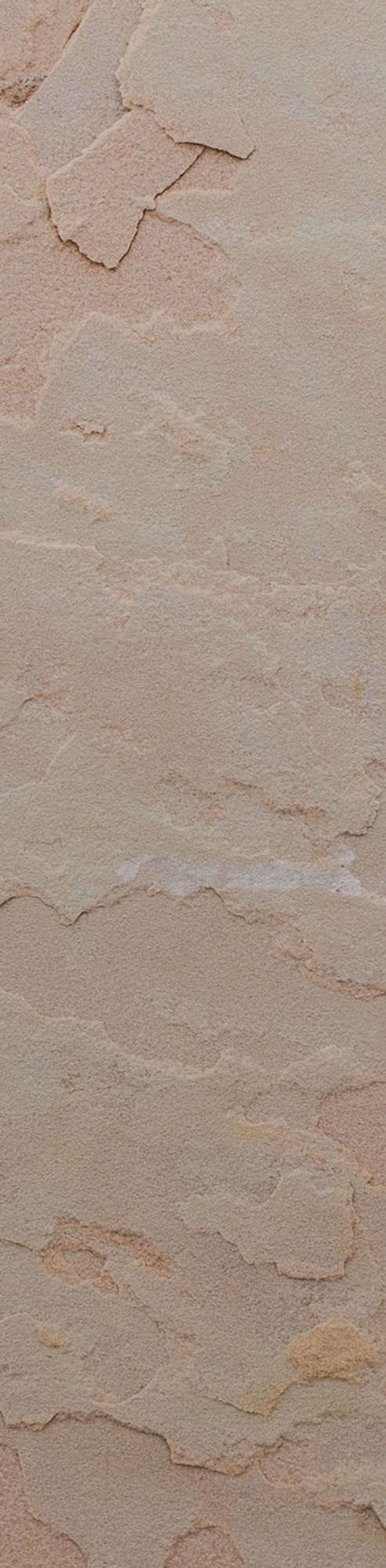 Funda de Cojín Dúo venados Alebrijes Artesanías