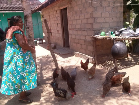 4LIFE: Empowering women