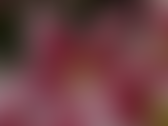 🌸 Dicas ESPECÍFICAS de cuidados para cada flor!