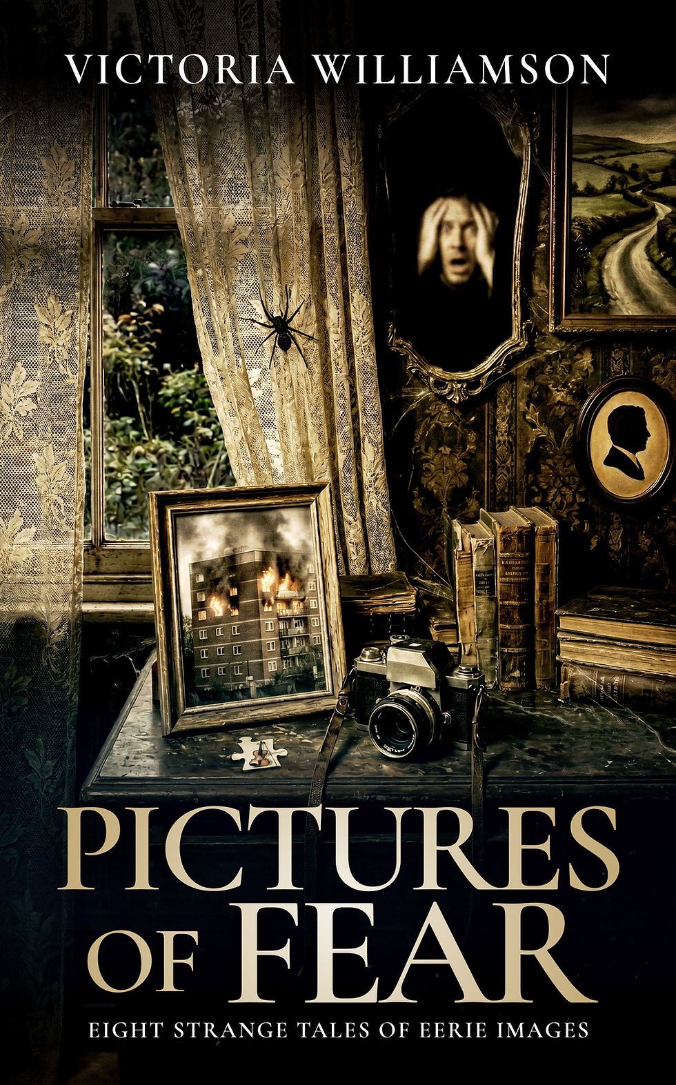 Pictures of Fear_ebook (178dpi).jpg
