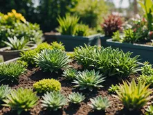 Creating a Lush Oasis: Planting Tips for Your Tiny Garden