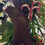 Thumbnail: NEW! Olde Gingerbread Man Peg Keeper