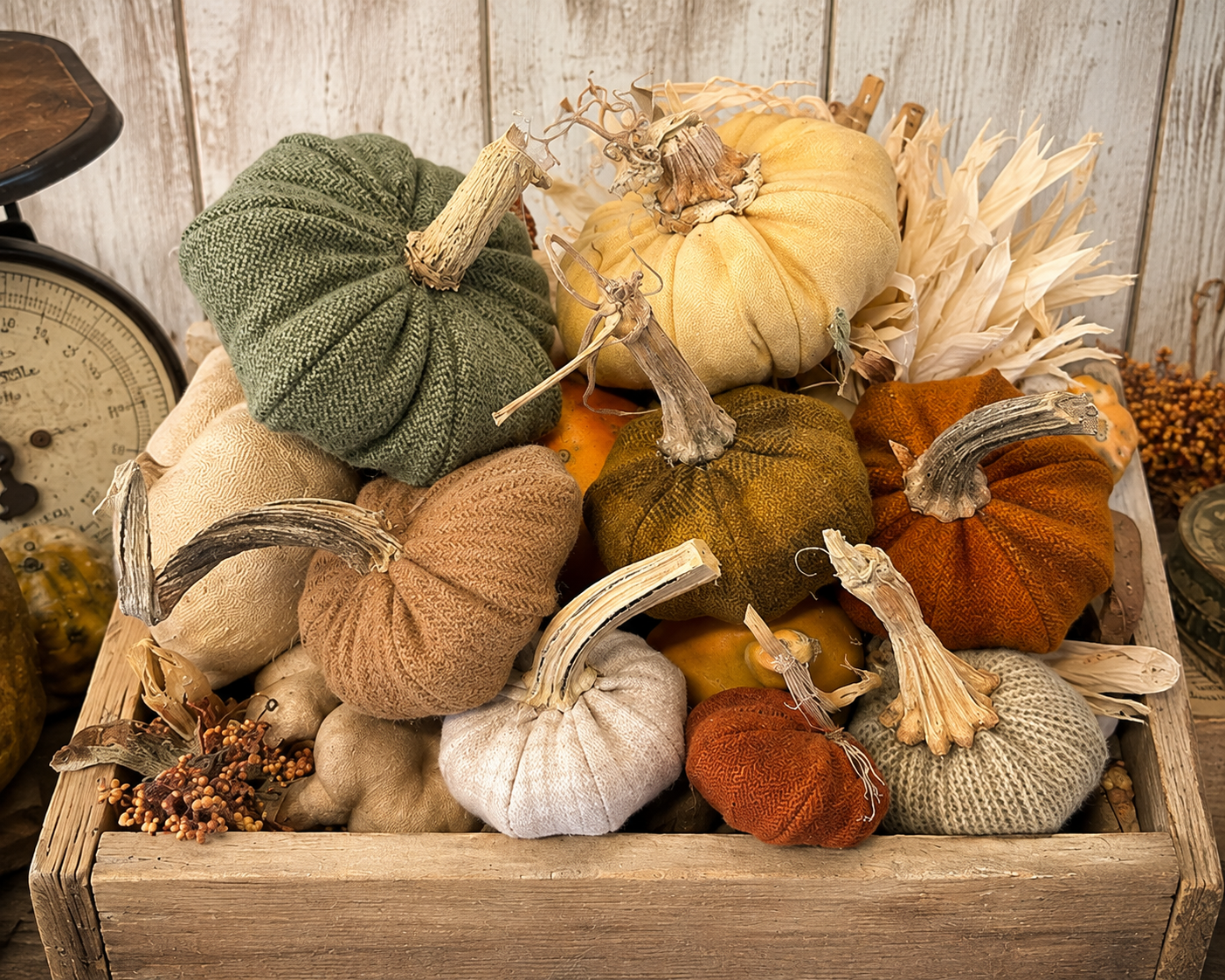 NEW!  #751 "Pancake Pumpkins"