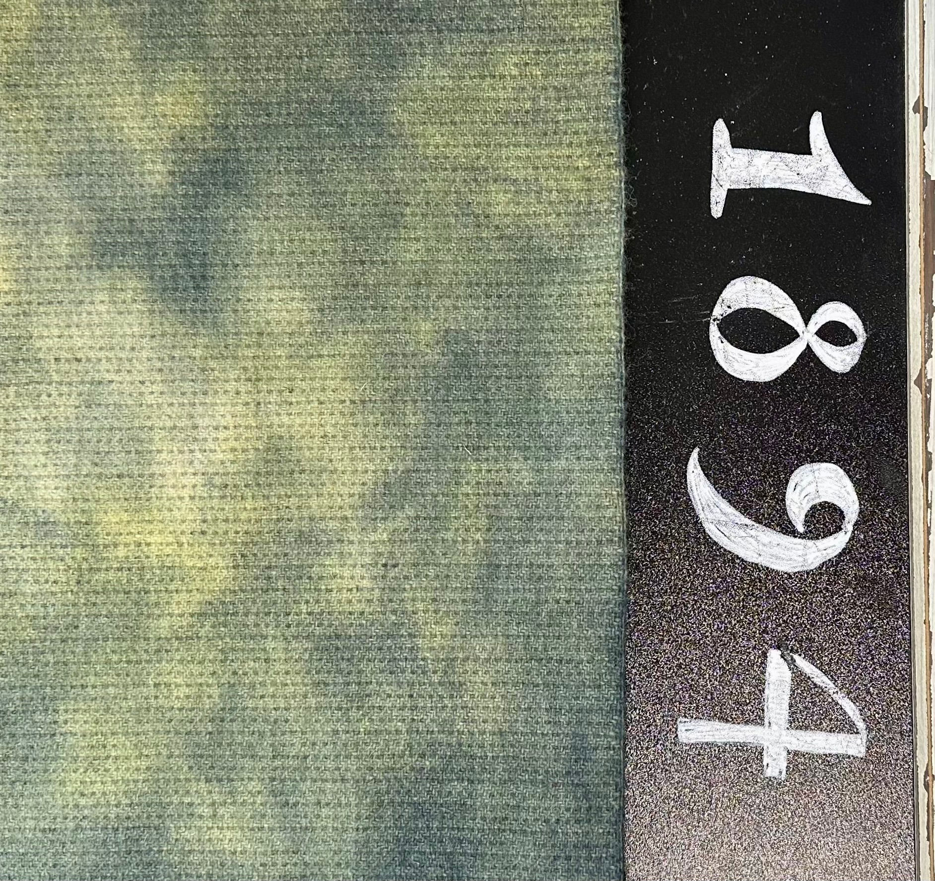 NEW!  "Herb Garden" #2  Hand Dyed Wooly FATS