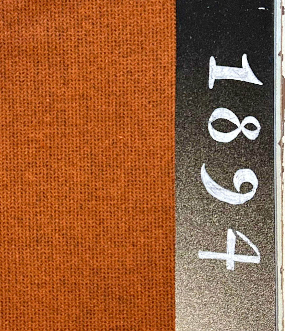 NEW!  "Tiger Lilies"