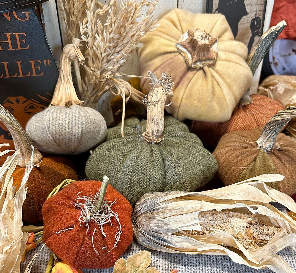 Thumbnail: NEW!  #751 "Pancake Pumpkins"